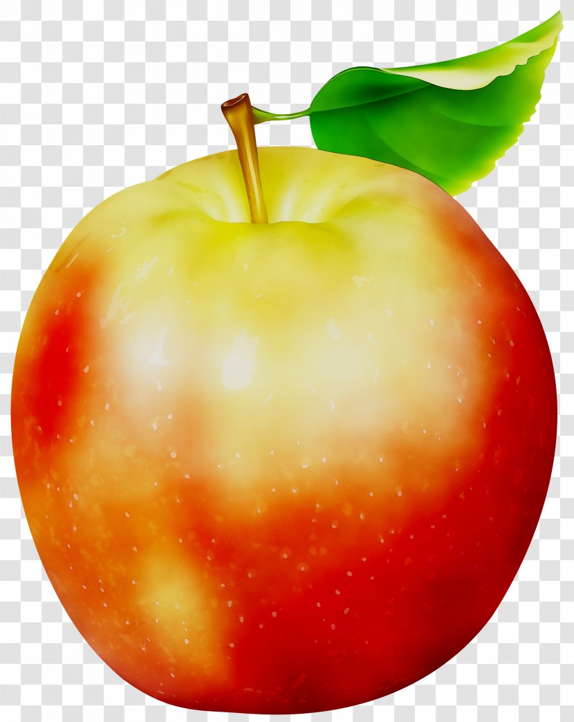 Clip Art Apple Transparency Image - White Transparent - Mcintosh Transparent PNG