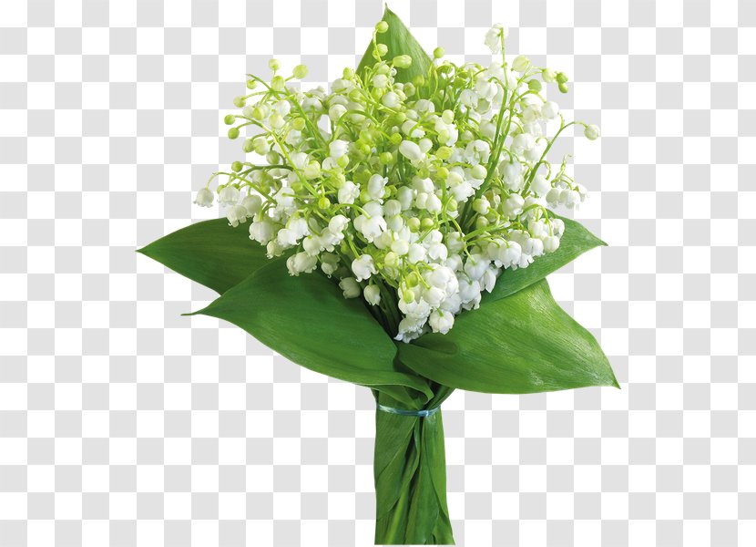 Flower Bouquet Lily Of The Valley Clip Art - Plant Transparent PNG