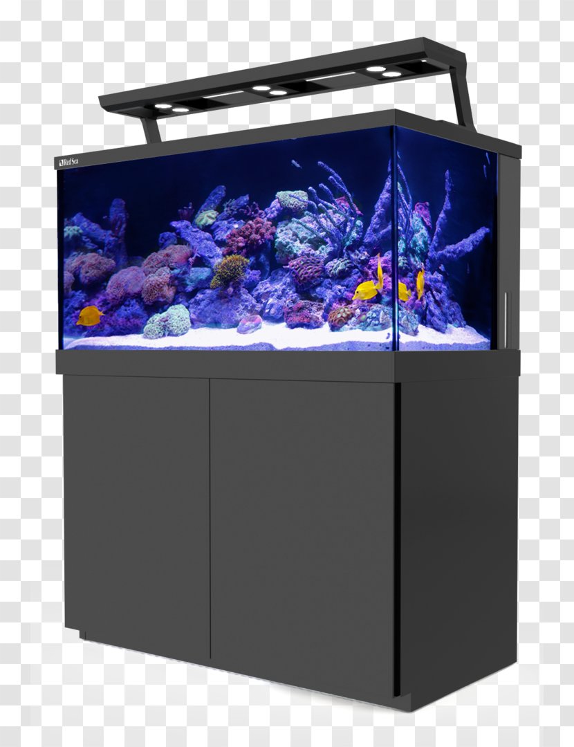 Reef Aquarium Red Sea Spec Pink - Flower - Reef-Spec BlueWhite T5 (54W)Fish Tank Stands Transparent PNG