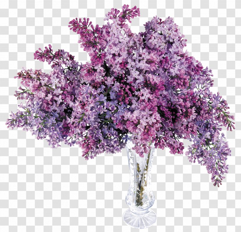 Lilac Computer File - Purple - Transparent Vase With Picture Transparent PNG