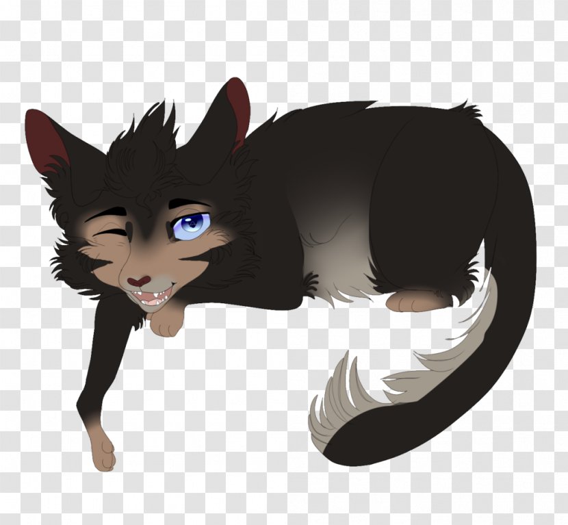 Whiskers Cat Dog Canidae Fur Transparent PNG