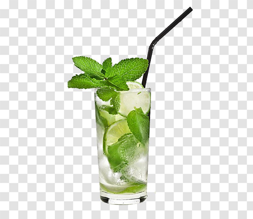 Mojito Cocktail Rickey Vodka Lemonade - Georges Monin Sas Transparent PNG