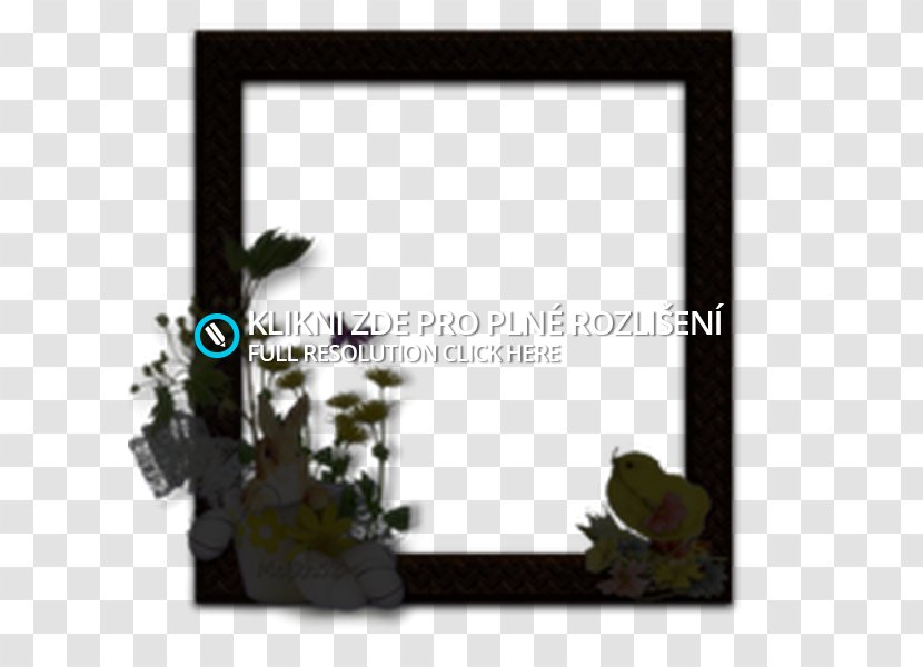 Picture Frames Rectangle Font - Frame - Vas Transparent PNG