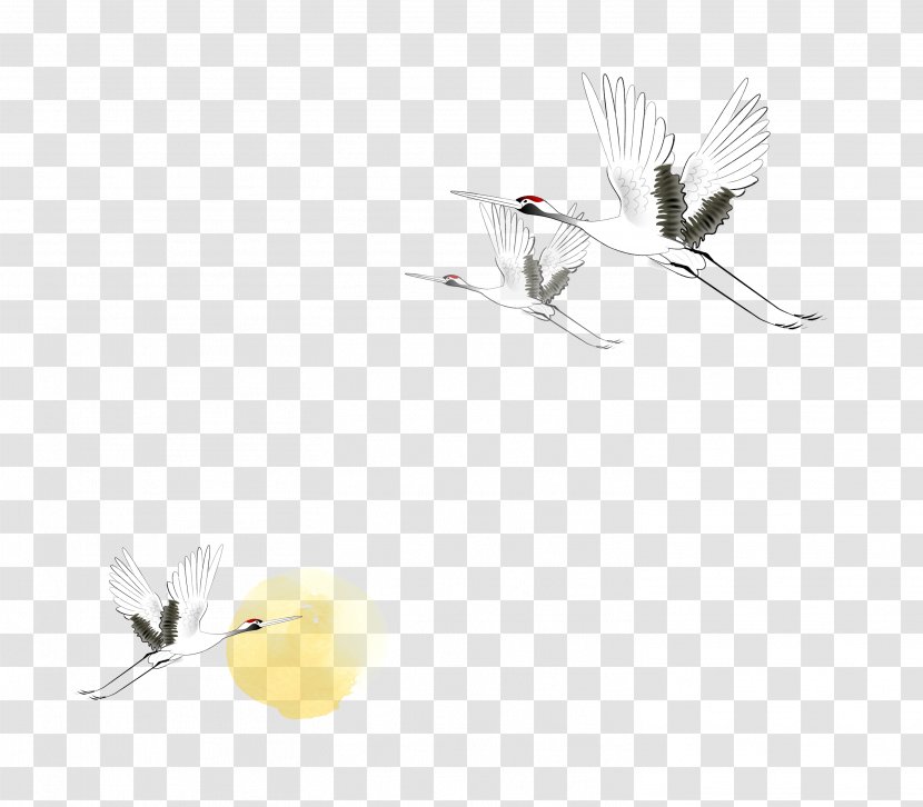 Crane Poster Fundal - Redcrowned - Flying Transparent PNG