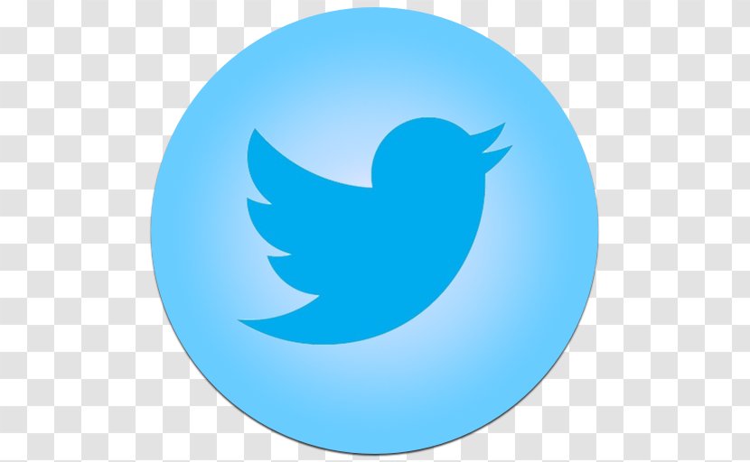 Social Media Logo - Wing - Icon Twitter Symbol Transparent PNG