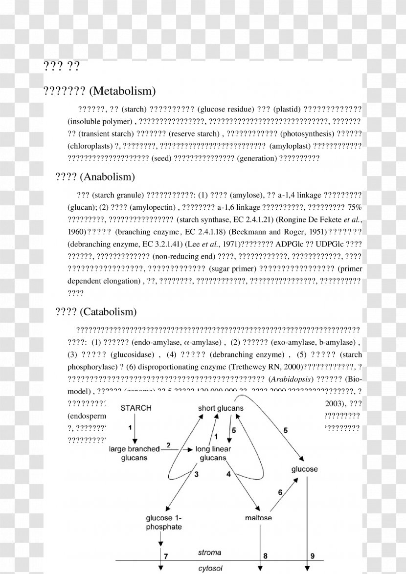 Document Line Angle - Black And White Transparent PNG