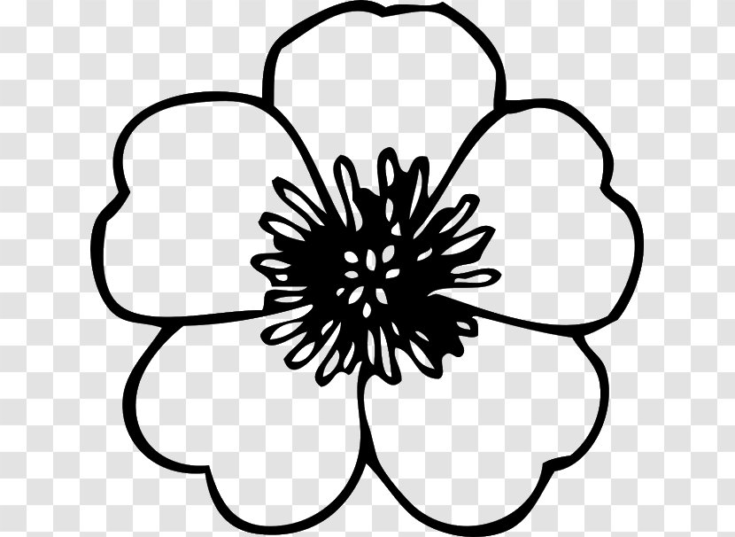 Clip Art Openclipart Flower Free Content Image - Petal - Outline Blossom Flowers Transparent PNG