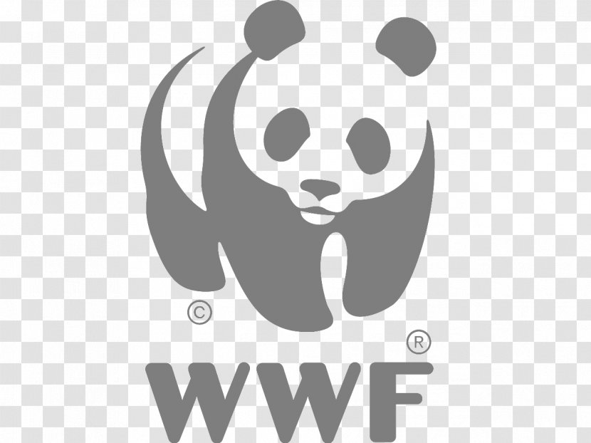 World Wide Fund For Nature Giant Panda Conservation Sustainability Organization - Frame - Dog Walking Logos Transparent PNG