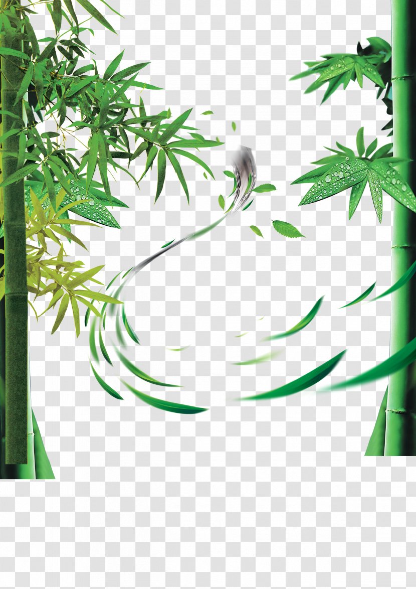 Bamboo Bamboe Computer File - Green Transparent PNG