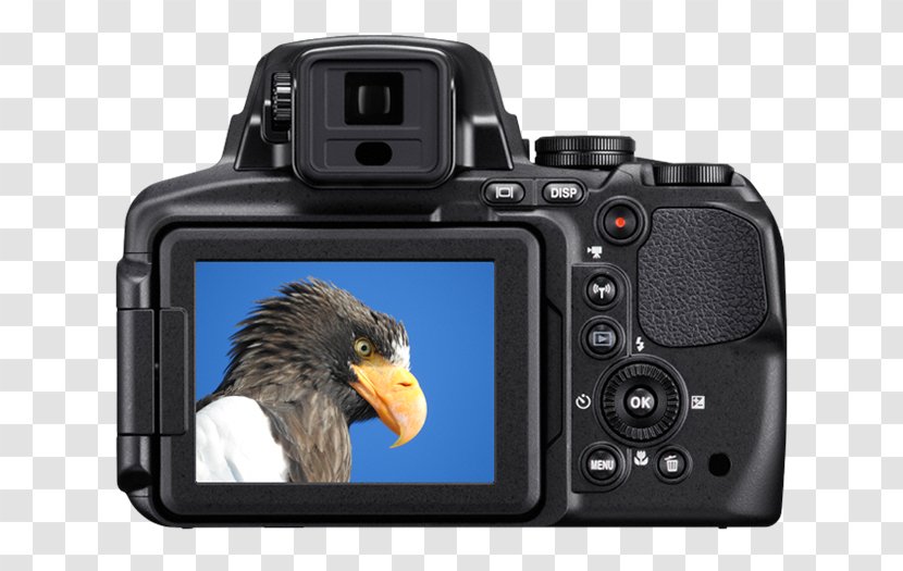 Point-and-shoot Camera Bridge Nikon 83x Optical Zoom - Digital Cameras Transparent PNG