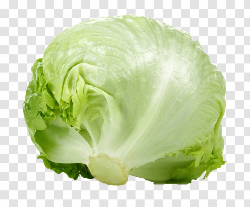 Romaine Lettuce Iceberg Leaf Vegetable Salad - Cruciferous Vegetables Transparent PNG
