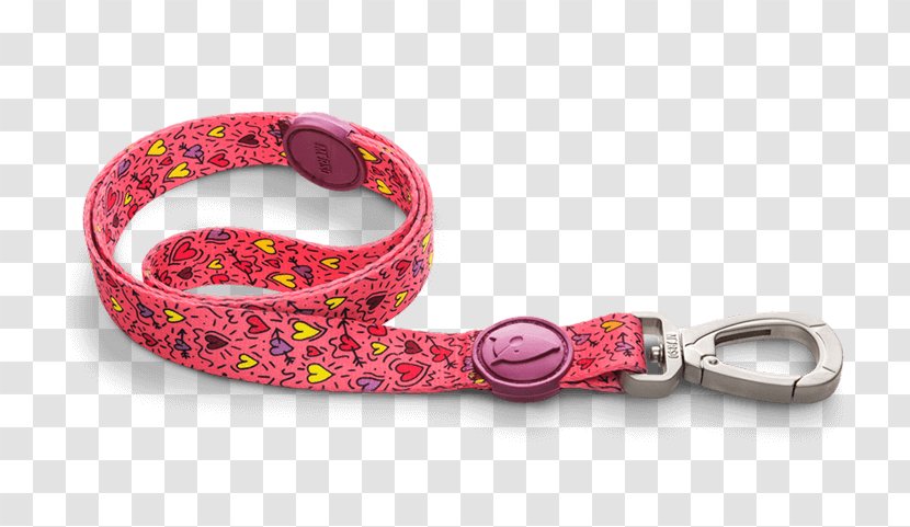 Leash Dog Collar Cat - Carabiner - Quick Snap Clips Transparent PNG