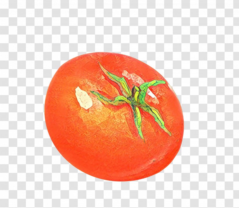 Tomato Cartoon - Nightshade Family - Cherry Tomatoes Transparent PNG