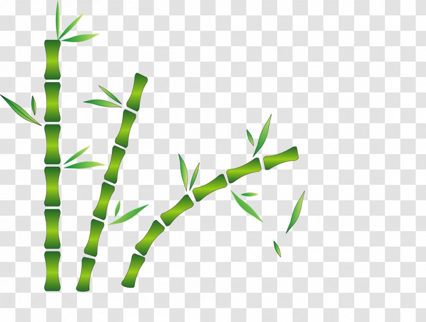 Bamboo Drawing - Grass Family - Silhouette Picture Material Transparent PNG