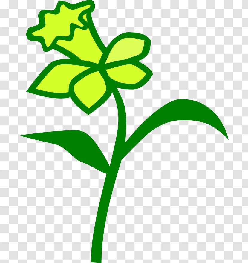 Alphabet Letter Flower Word Numeral - Plant Stem - Daffodil Transparent PNG