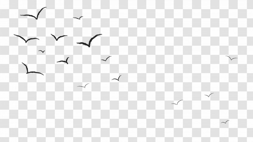 Bird Crane Black And White Animal Migration Monochrome Photography - Fly Transparent PNG