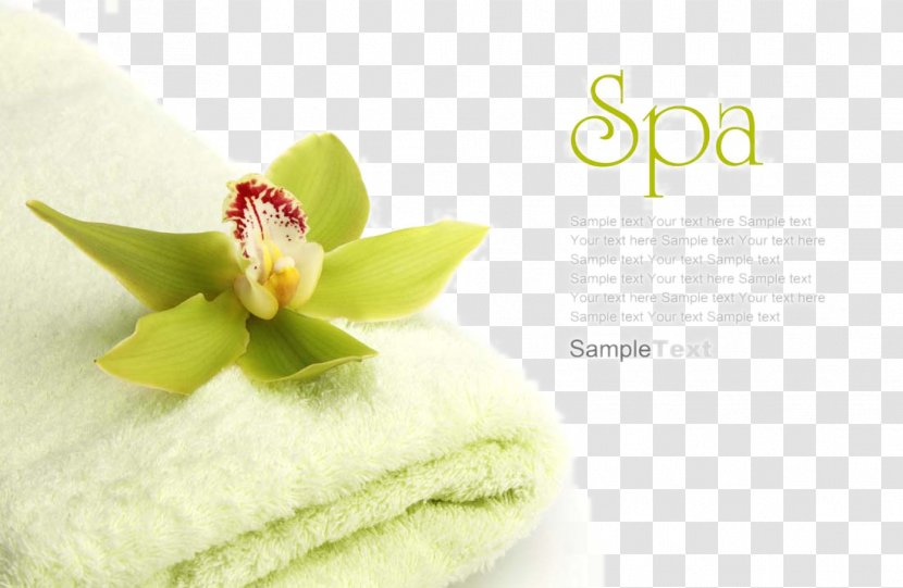 Spa Essential Oil Massage Cosmetology Facial - Doterra - Supplies Towel SPA Transparent PNG