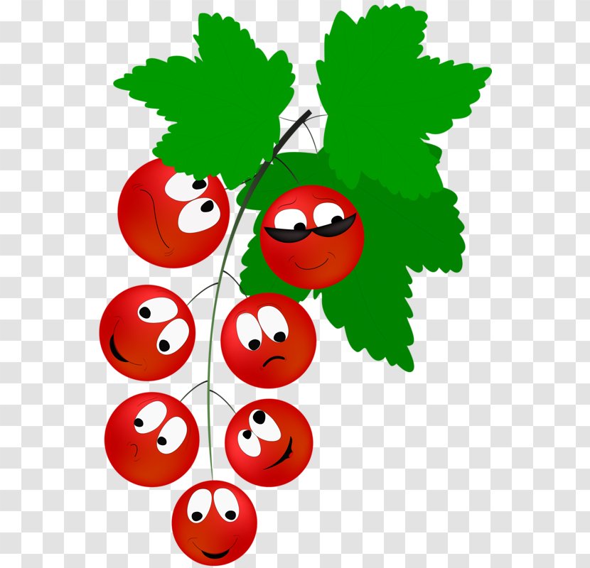 Redcurrant Berry Vegetable Drawing - Flowering Plant Transparent PNG