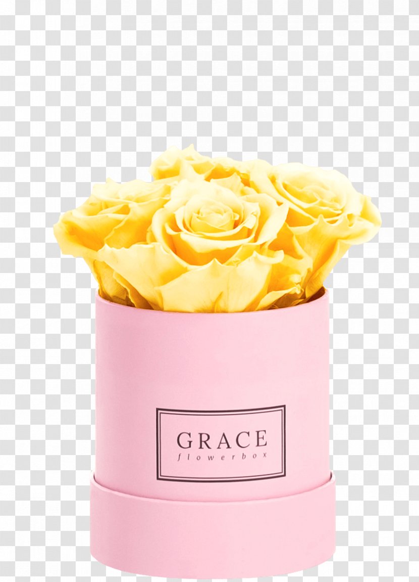 Rose Flower Box Pink Cut Flowers - Apricot Transparent PNG