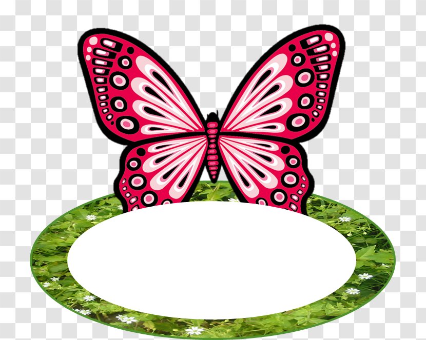 Monarch Butterfly Clip Art - Graph Transparent PNG