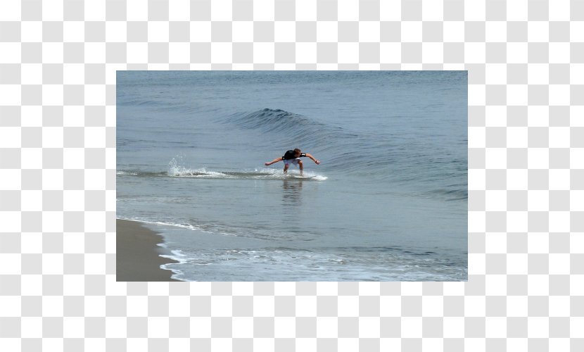 Surfing 09738 Surfboard Shore Ocean Transparent PNG