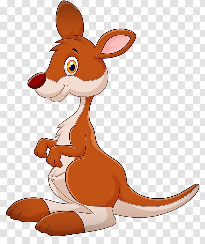 Kangaroo Macropodidae Cartoon Animated - Tail Animal Figure Transparent PNG