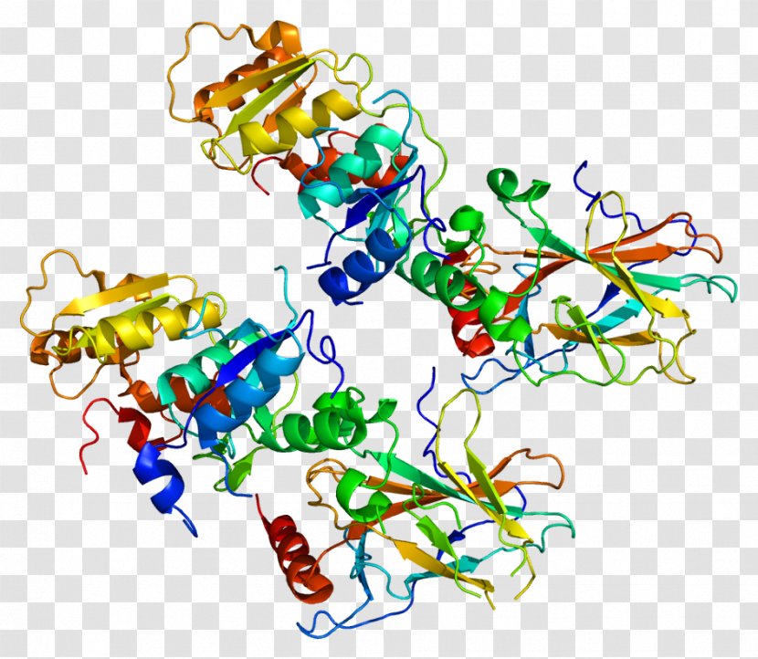 TP53BP1 Protein Cancer Tumor Suppressor Gene - Watercolor - Dna Polymerase Iii Holoenzyme Transparent PNG