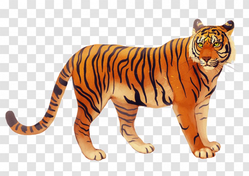 Bali Tiger Javan - Deviantart Transparent PNG