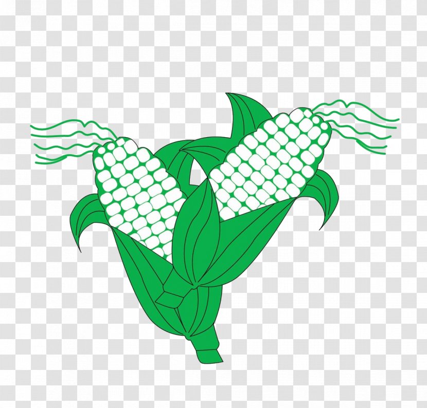 Maize Leaf Illustration - Vertebrate - Corn Transparent PNG