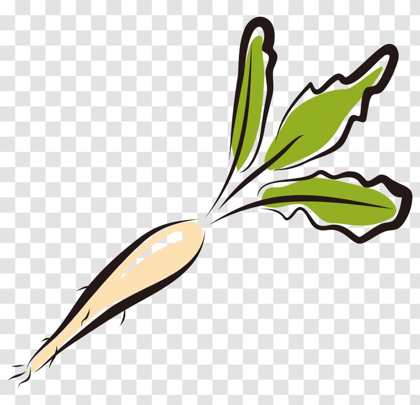 Garden Radish Vegetable Illustration - Wing - Hand Painted,Stick Figure,Fruits And Vegetables,vegetables,Fruits Vegetables,Cartoon Transparent PNG