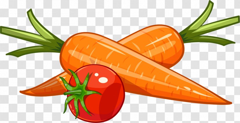 Carrot Drawing Royalty-free Illustration - Vegetable - Carrots And Tomatoes Transparent PNG
