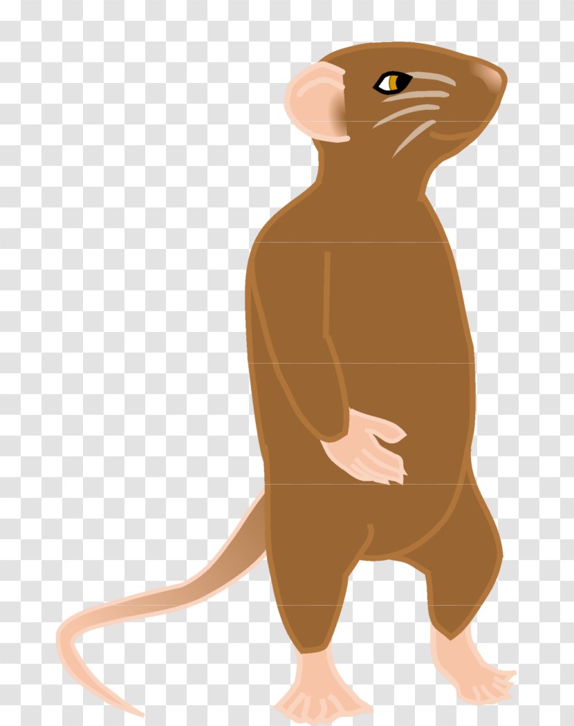 Whiskers Illustration Computer Mouse Cartoon Snout - Adolescence Vector Transparent PNG