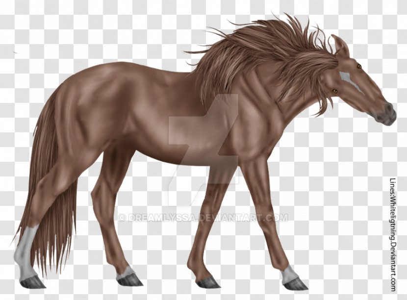 Mustang Mare Foal Stallion Halter - Chestnut Horse Transparent PNG