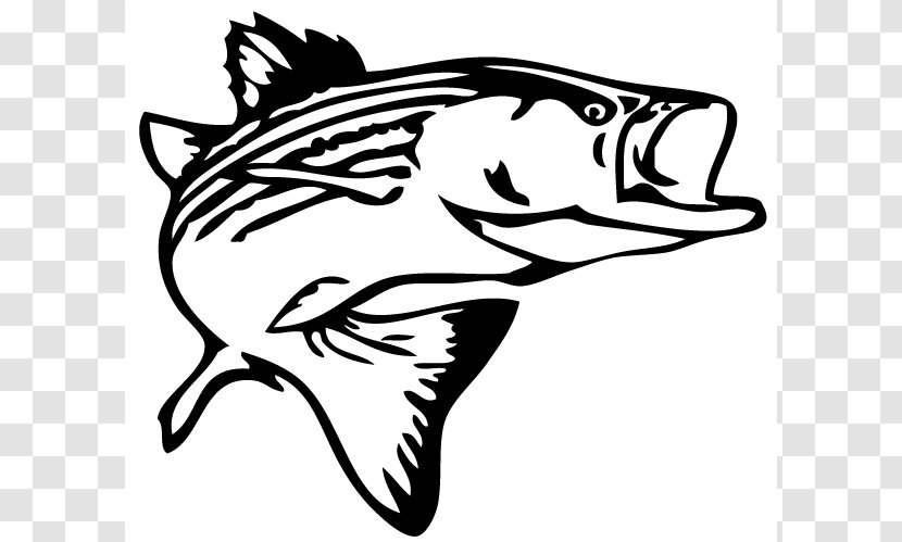 Striped Bass Fishing Decal Clip Art - Wildlife - Jumping Cliparts Transparent PNG
