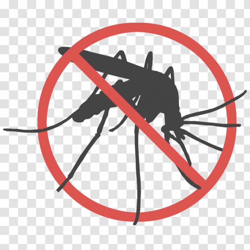Marsh Mosquitoes Malaria Mosquito-borne Disease Mosquito Control - Infection Transparent PNG