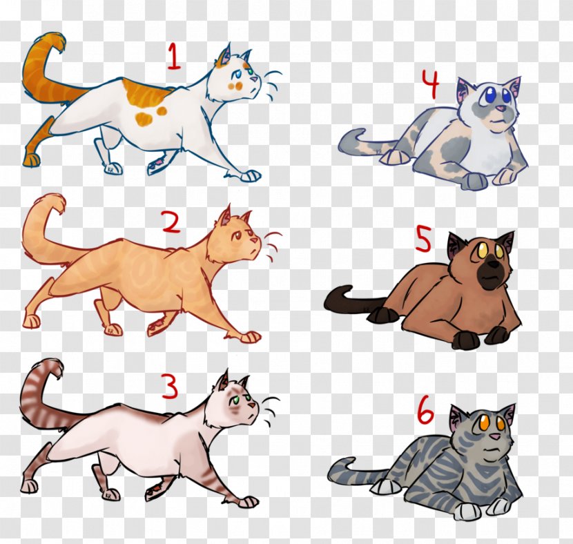 Kitten Warriors Wildcat Whiskers Adoption - Carnivoran - Realistic Warrior Cat Drawings Transparent PNG