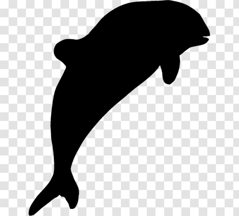 Dolphin Sea Lion Black & White - Tucuxi - M Porpoise Transparent PNG