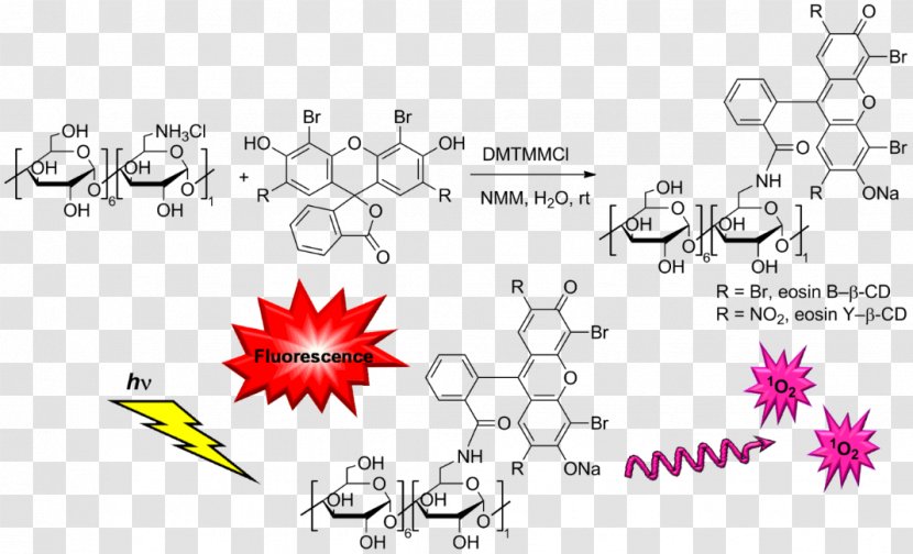Eosin Cyclodextrin Beilstein Journal Of Organic Chemistry - Supramolecular - Abstract Figures Transparent PNG