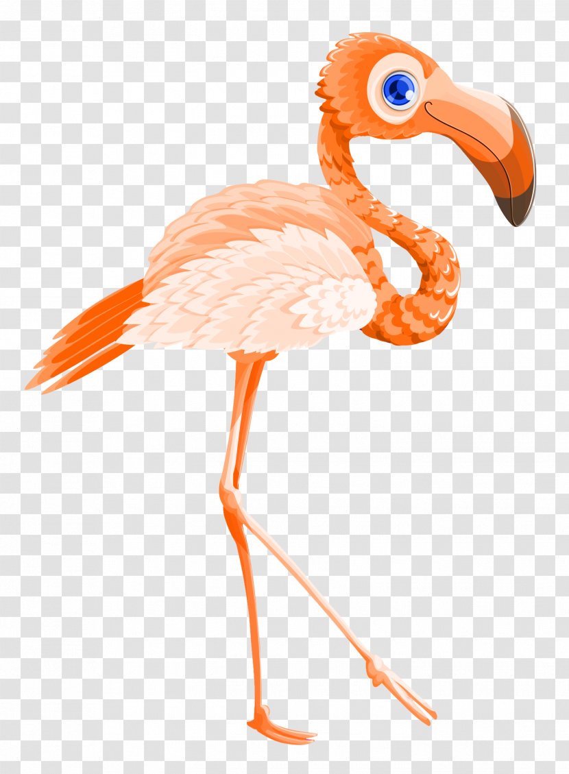 Flamingo Valentines Day - Beak - Bird Vector Transparent PNG