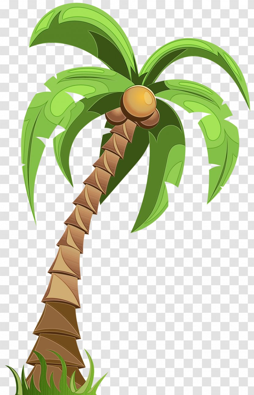 Palm Tree - Plant - Woody Stem Transparent PNG