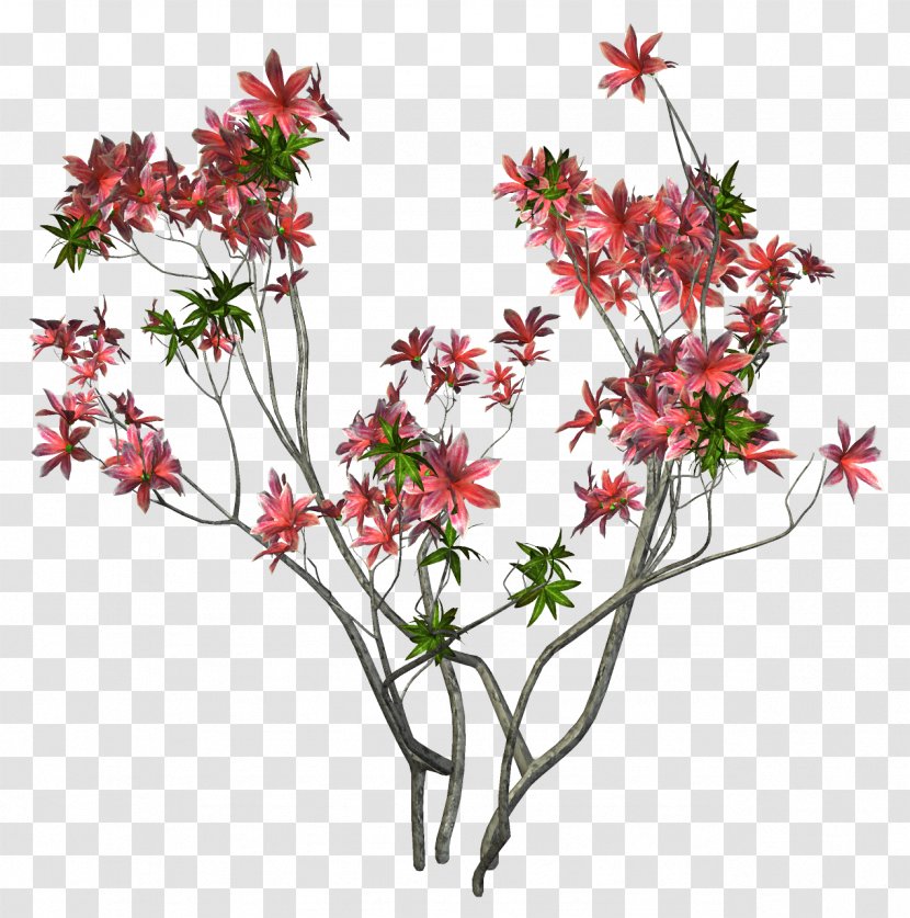 Branch Tree Cut Flowers - Flora - Plant Title Box Transparent PNG