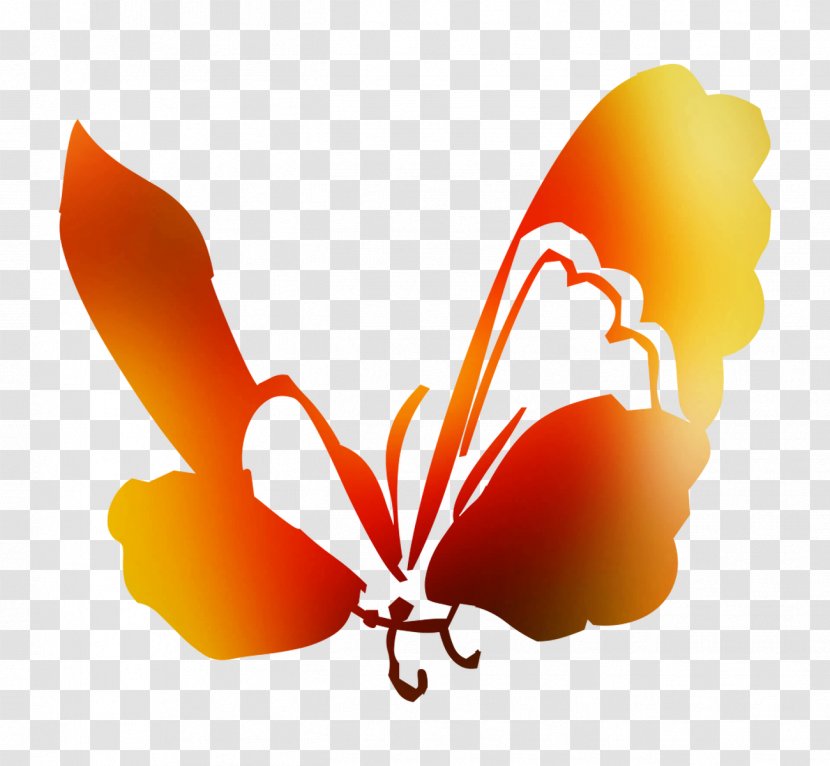 Clip Art Desktop Wallpaper Computer M. Butterfly Orange S.A. - Moths And Butterflies Transparent PNG