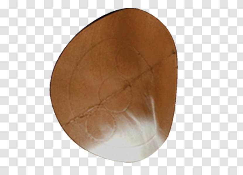 Wood /m/083vt Circle Transparent PNG