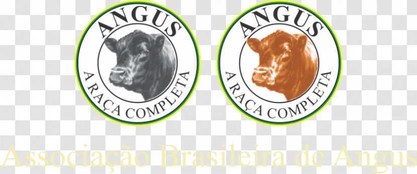 Angus Cattle Brangus Brazilian Association Taurine Red - Agriculture - Vendedor De Carne Transparent PNG