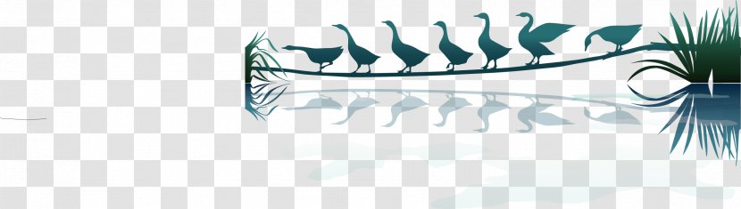 Duck Illustration - Tree - River Transparent PNG