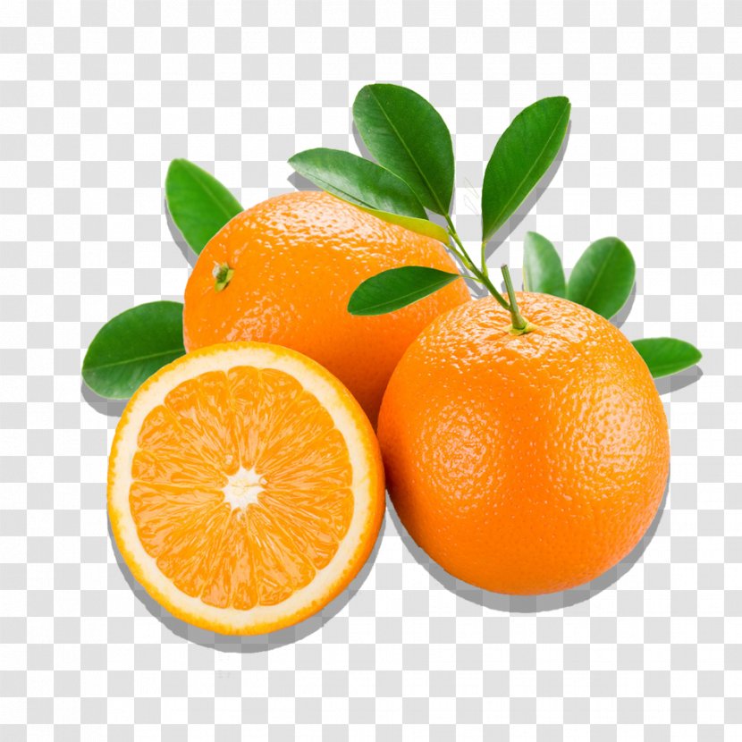 Juice Orange Anti-aging Cream Wrinkle Periorbital Dark Circles - Citric Acid Transparent PNG