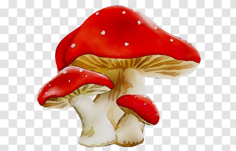 Clip Art Figurine Mushroom Image - Medicine Transparent PNG