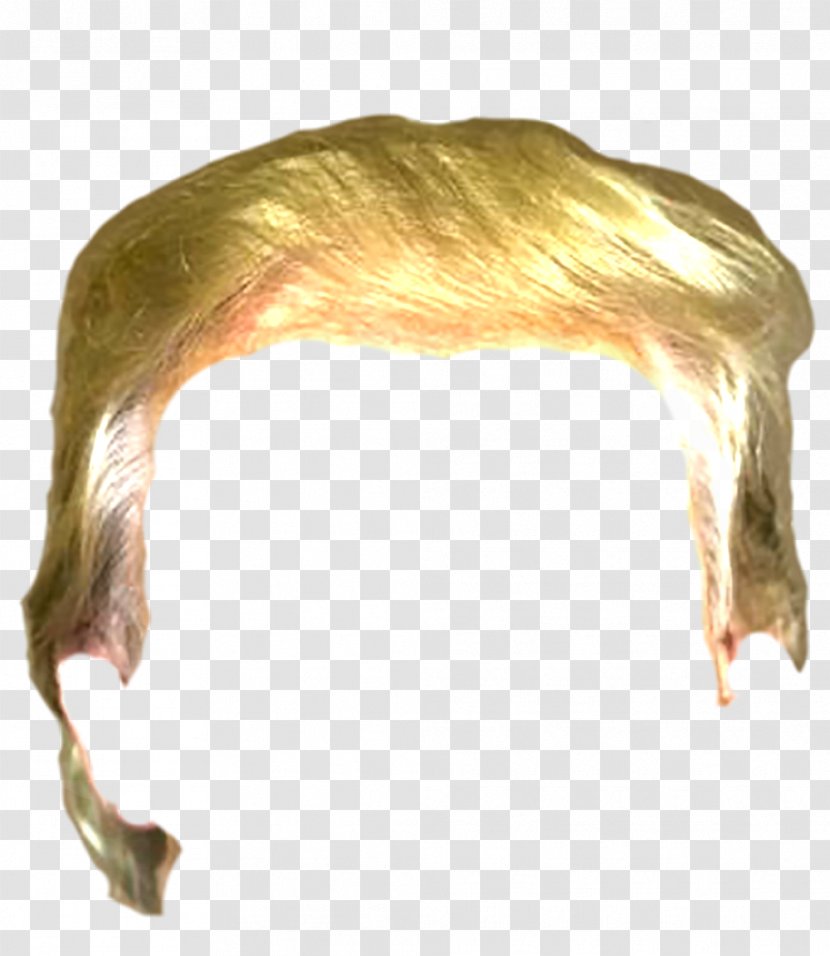 Crippled America Toupée Wig Hair Stop Trump Movement - Fur Transparent PNG