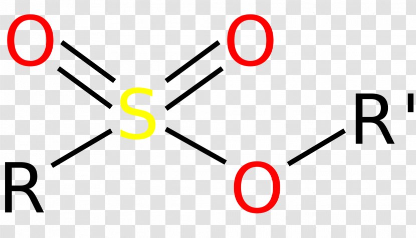 Ester Sulfonique Sulfonate Sulfonic Acid Functional Group - Esterification Transparent PNG