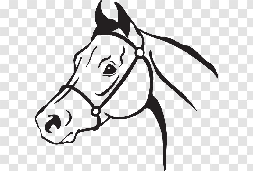 Clip Art American Quarter Horse Openclipart Arabian Mustang - Bridle Transparent PNG